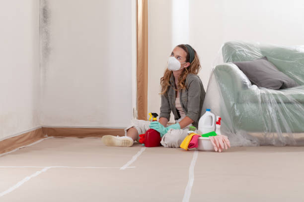 Reliable Commercial Mold Remediation contractor in Clarendon Hills, IL by WQB Mold Removal